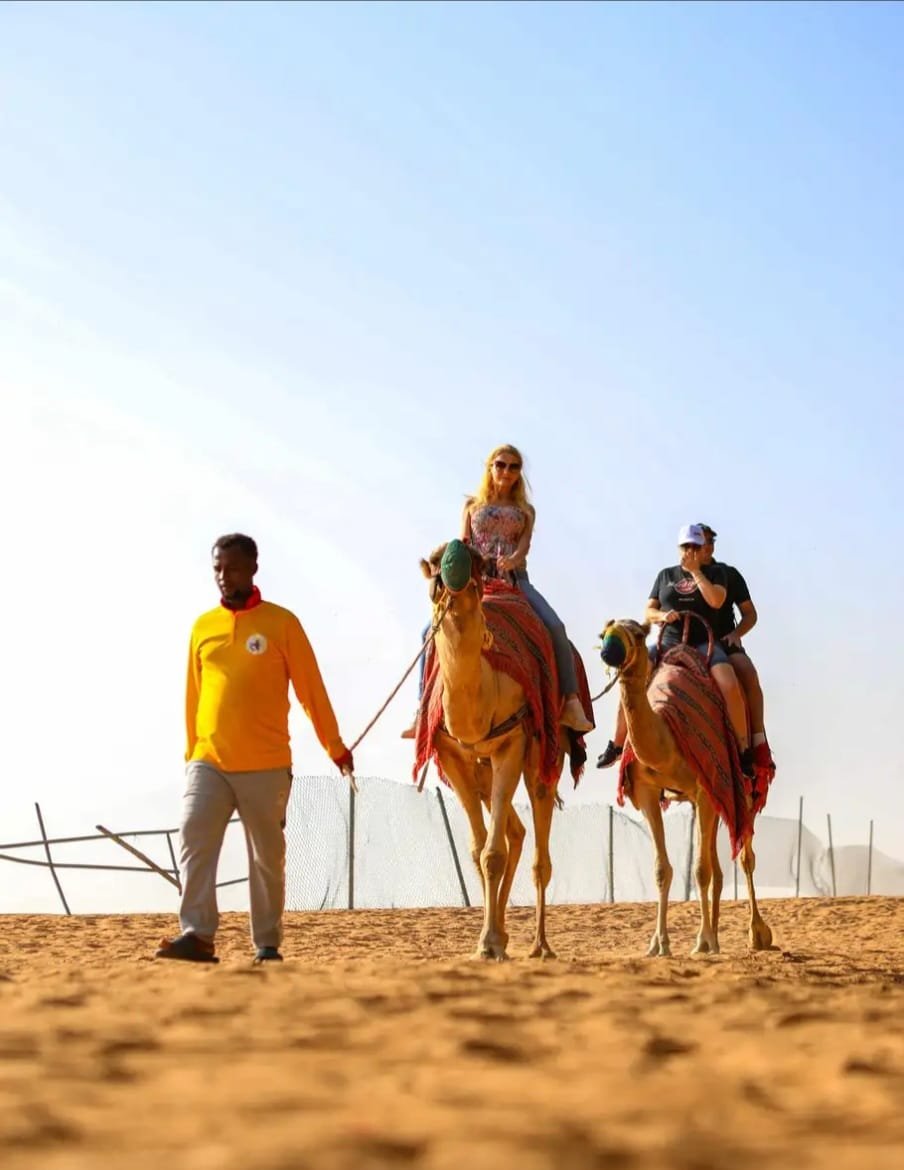 Morning Desert Safari